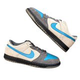 Rare 2007 Nike Dunk Low PRM